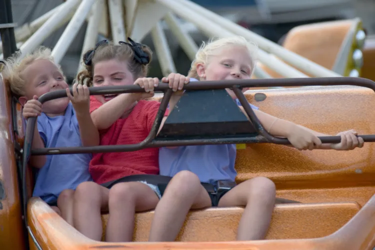 Hamilton County Fair